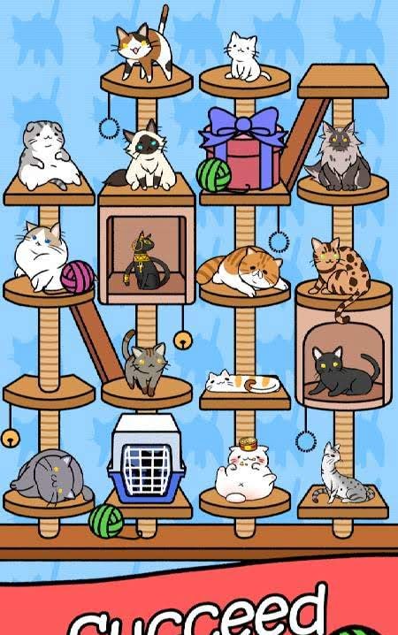 Cat Condo screenshot 4