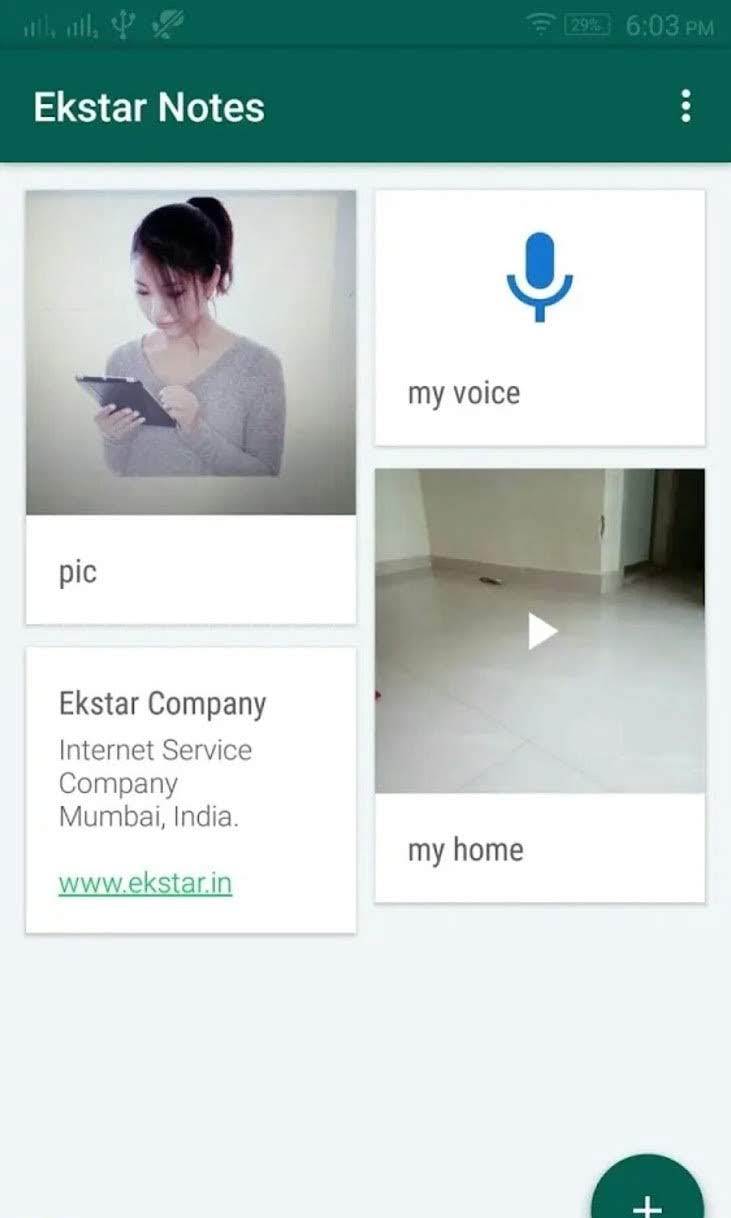 Ekstar Notes Screenshot 2