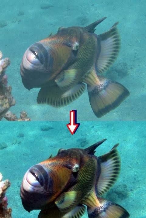 PhotoFixer Pro screenshot 1
