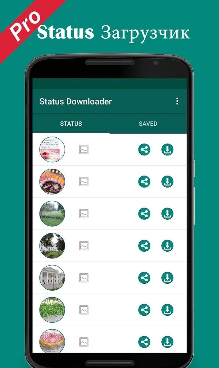 Pro Status Download Video Image Status Downloader screenshot 3