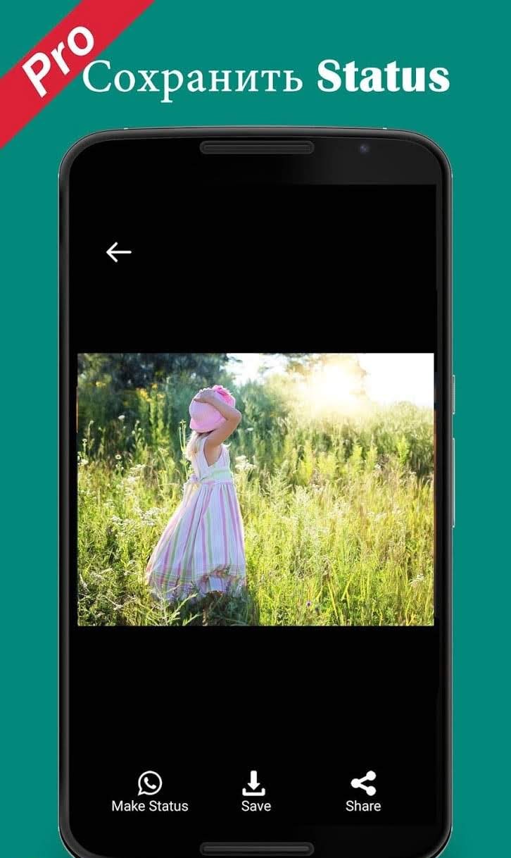 Pro Status Download Video Image Status Downloader screenshot 4