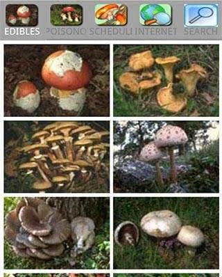 Mushrooming screenshot 3