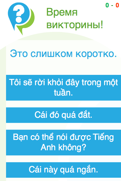 Learn Vietnamese Phrasebook screenshot 4