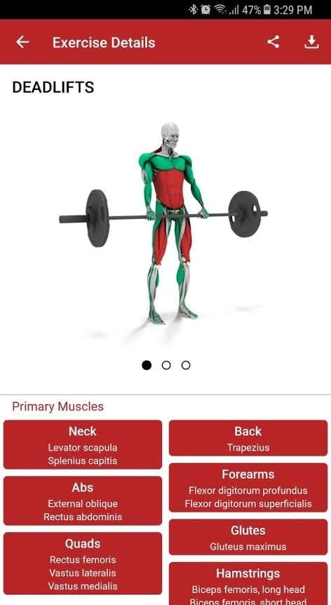 MuscleMatics preview screenshot 4