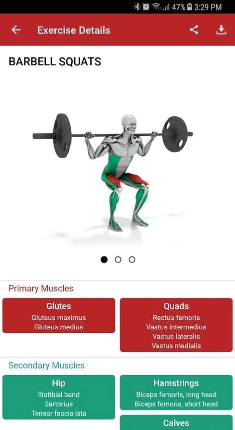 MuscleMatics preview screenshot 3