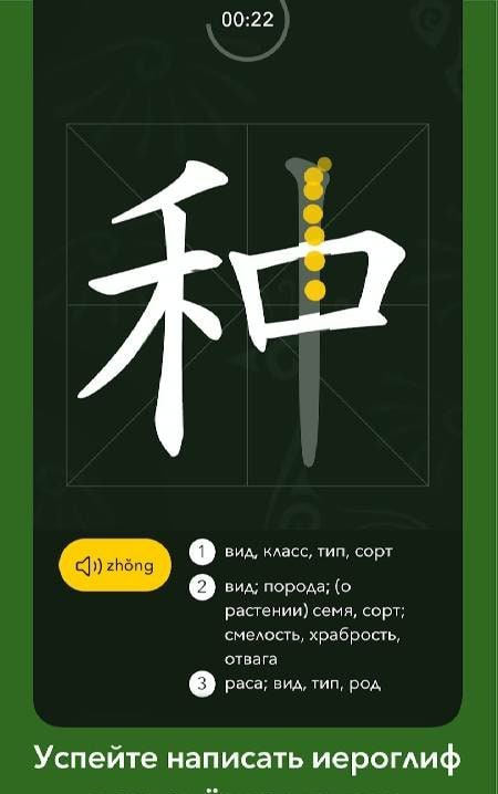 Chinese Writer lesson display