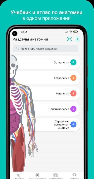 Uchi Anat Screenshot 1