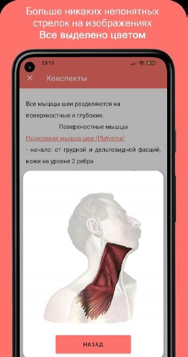 Uchi Anat Screenshot 4