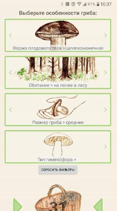 Mushrooms app screenshot 4