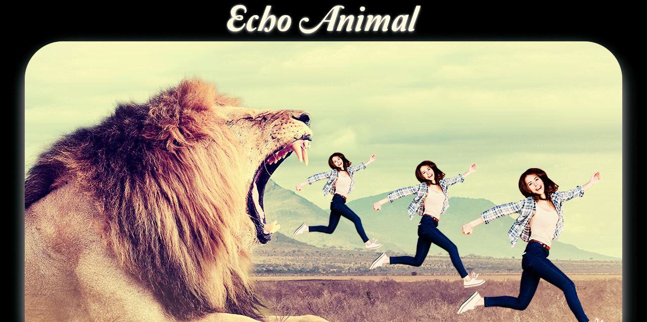 Echo Animal screenshot 4