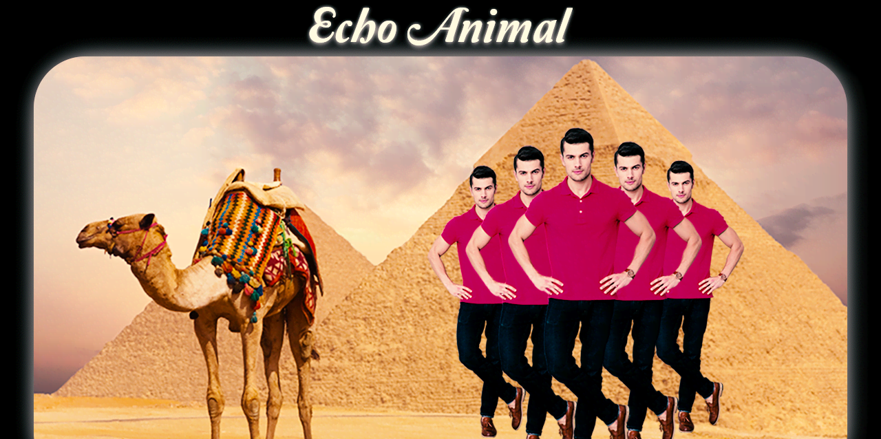 Echo Animal screenshot 3