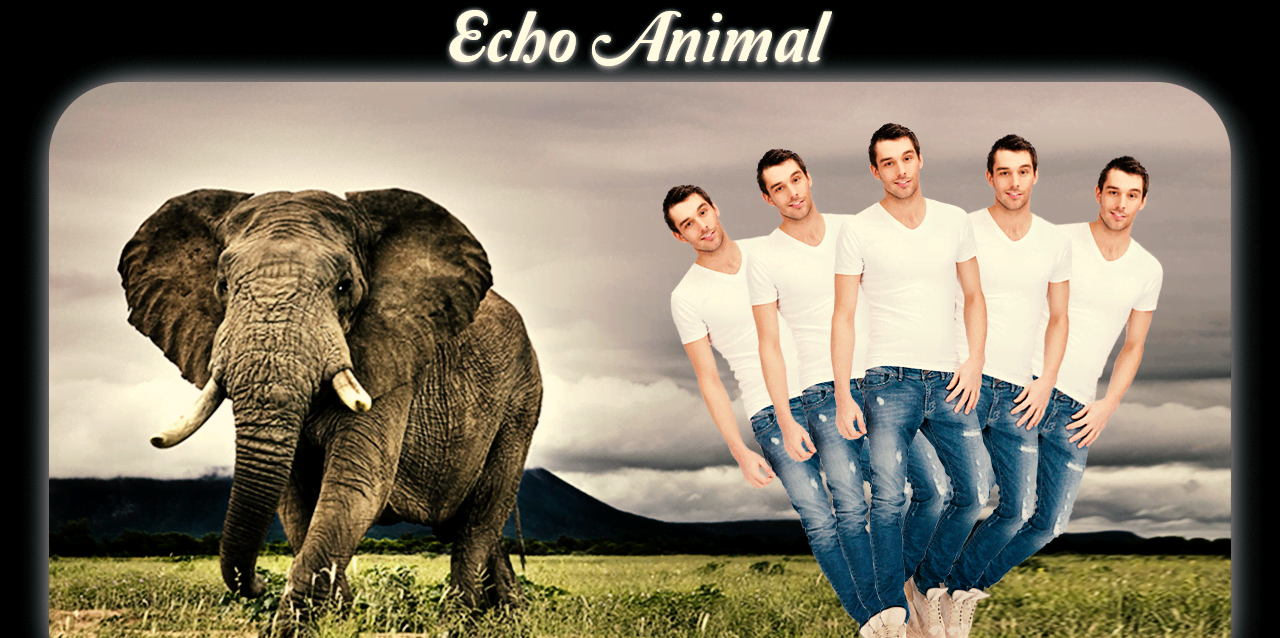 Echo Animal screenshot 1