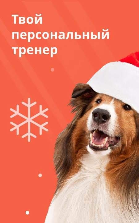 GoDog screenshot 1