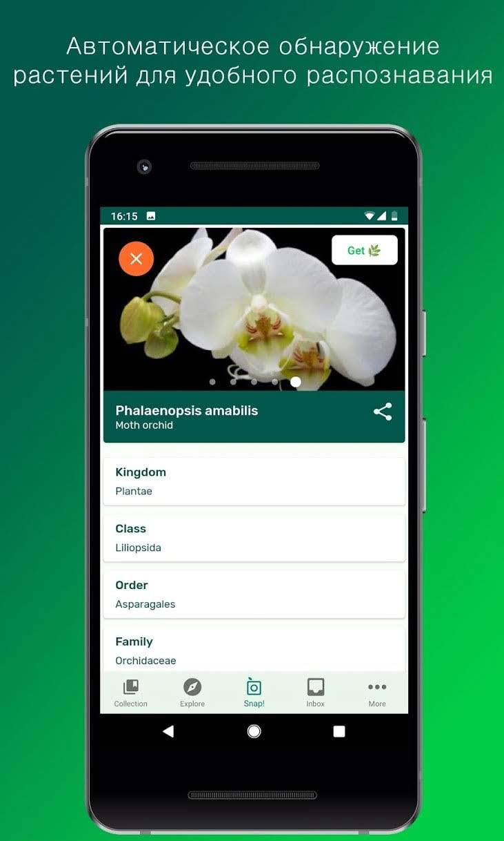 PlantSnap screenshot 2