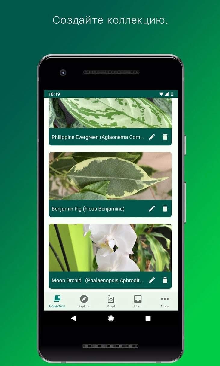 PlantSnap screenshot 4