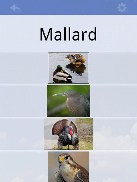 Flashcards Deluxe preview image 2