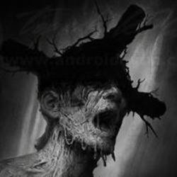 Darkwood