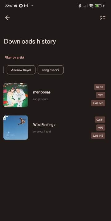 Spowlo - Spotify Songs Downloader Screenshot 2
