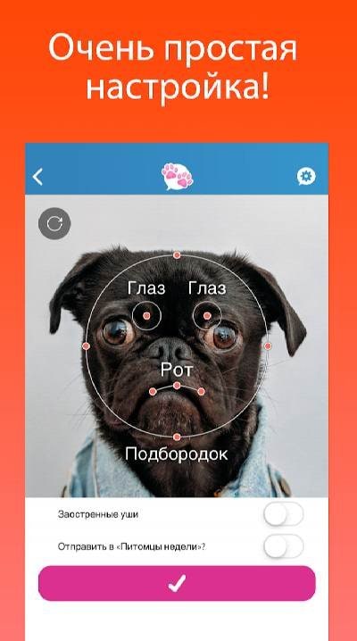 My Talking Pet screenshot 3