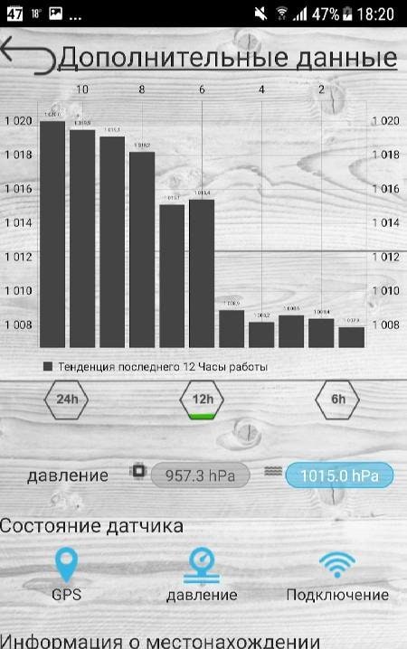 Professional Barometer preview image 2