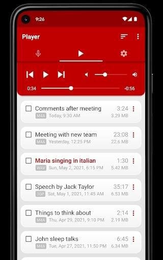 Voice Recorder Pro screenshot 2