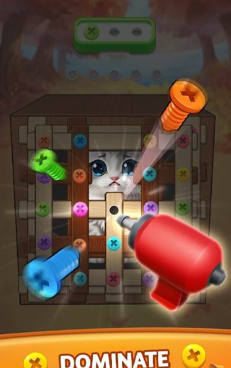 Unscrew It: Nuts & Bolts Jam screenshot 3