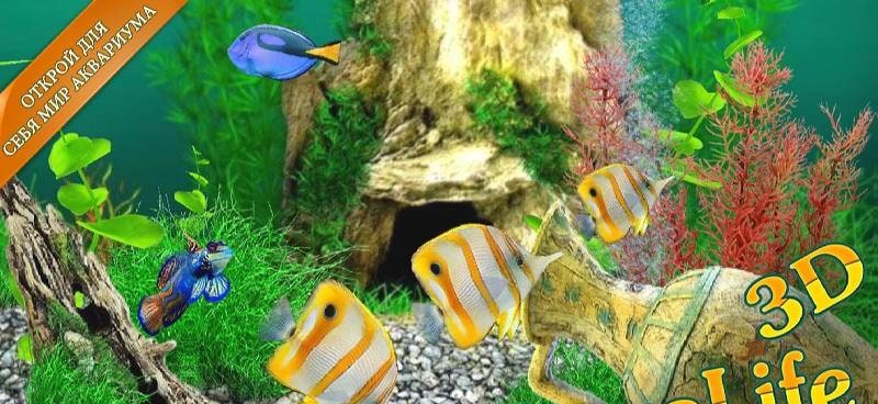 AquaLife 3D screenshot 1