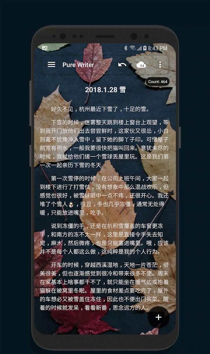 Pure Writer Screenshot 2