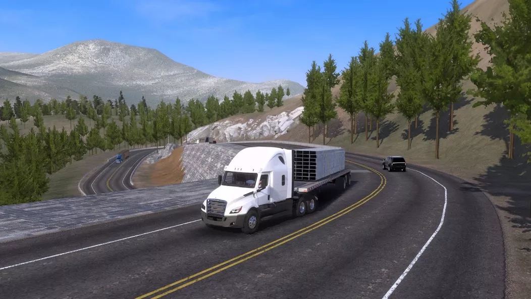 Truck Simulator Legends : USA screenshot 2