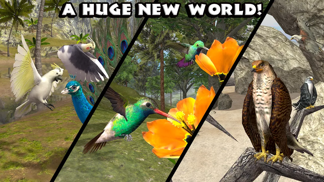 Ultimate Bird Simulator screenshot 5