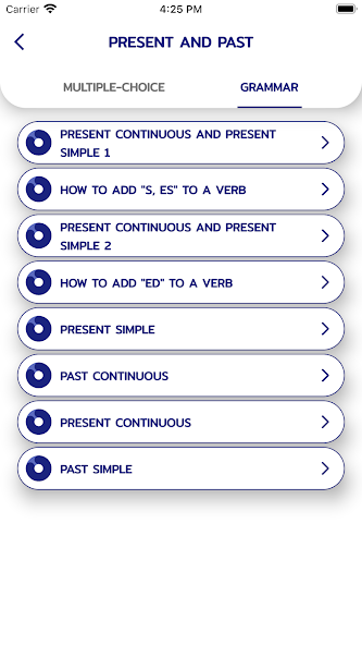 English Grammar screenshot 2