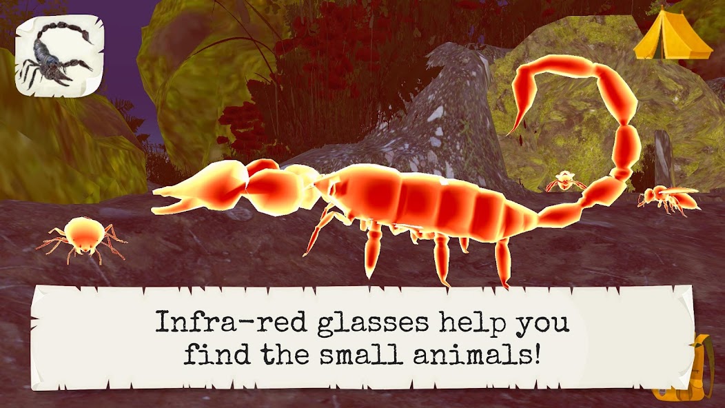 Bugs & Insects (Full version) screenshot 6