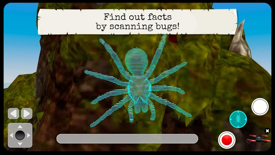 Bugs & Insects (Full version) screenshot 4