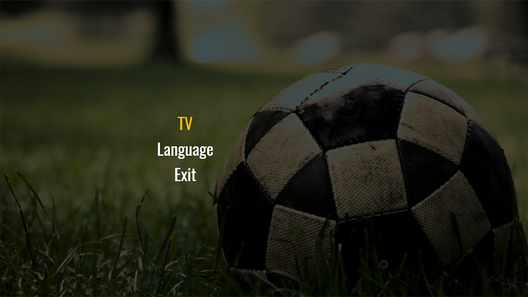 Alem TV screenshot 2