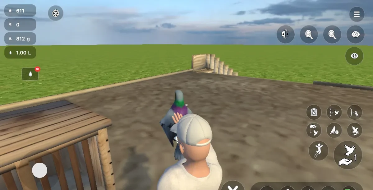 Pigeon Paradise screenshot 4